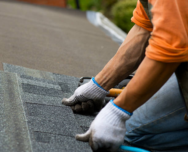 Best Roof Leak Repair  in Pell City, AL