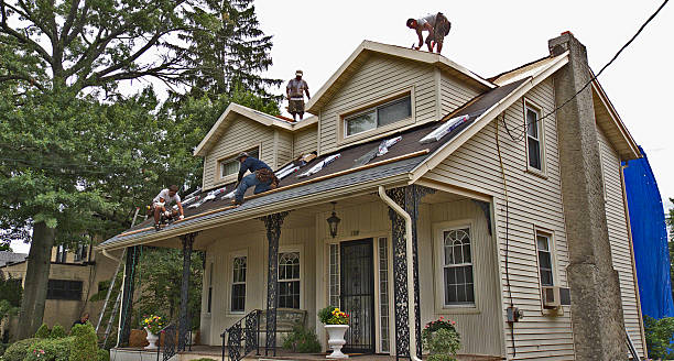 Best Roof Maintenance Services  in Pell City, AL