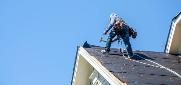Best Storm Damage Roof Repair  in Pell City, AL